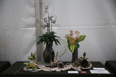A Flower Clubs of Cheshire entry in the Welcome to my Studio class of the 2026 Royal County Cheshire Show
