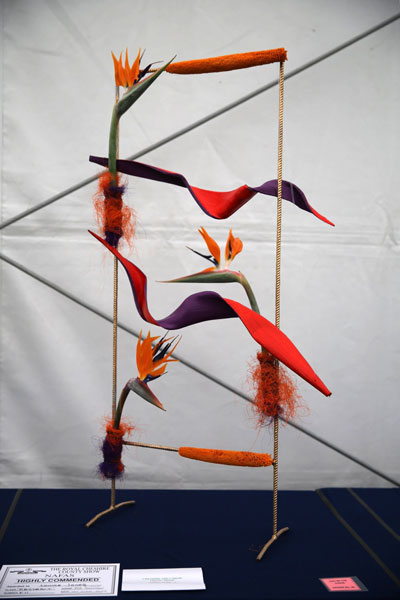 A Flower Clubs of Cheshire entry in the Abstract class of the 2026 Royal County Cheshire Show