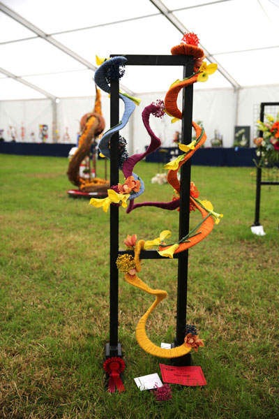 A Flower Clubs of Cheshire entry in the The Power of Colour class of the 2026 Royal County Cheshire Show