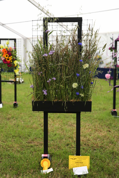 A Flower Clubs of Cheshire entry in the The Power of Colour class of the 2026 Royal County Cheshire Show