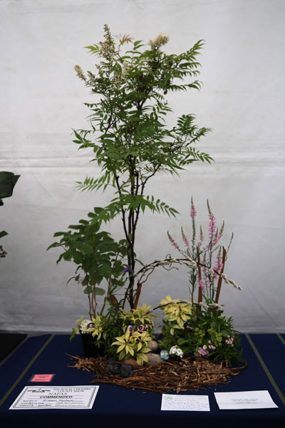 A Flower Clubs of Cheshire entry in the Art in the Garden class of the 2026 Royal County Cheshire Show