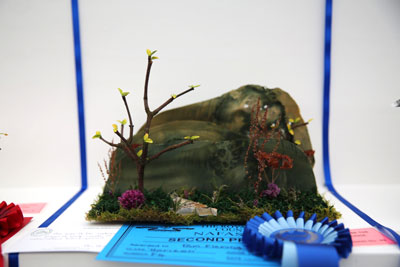 A Flower Clubs of Cheshire  entry in the Horizon class of the 2026 Royal County Cheshire Show 