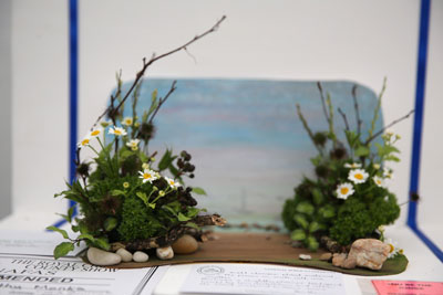 A Flower Clubs of Cheshire  entry in the Horizon class of the 2026 Royal County Cheshire Show 
