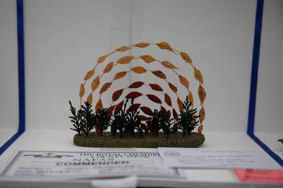 A Flower Clubs of Cheshire  entry in the Horizon class of the 2026 Royal County Cheshire Show 