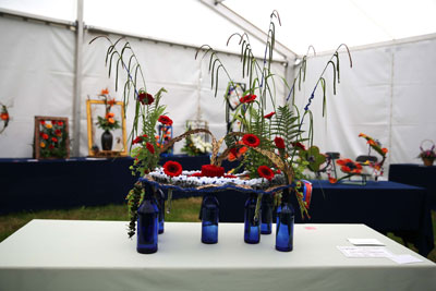 A Flower Clubs of Cheshire entry in the Knit-stitch-weave class of the 2026 Royal County Cheshire Show
