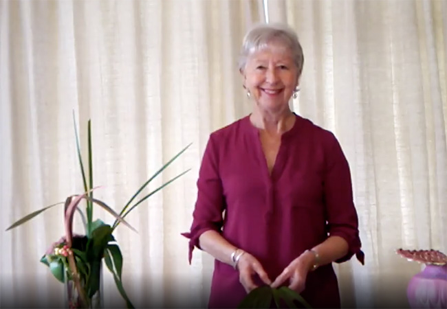 A video of a Leaf Demonstration by Liz Broad