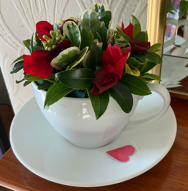 Valentine Cup - A February arrangement made by Joyce Bowett, Club President photo 1