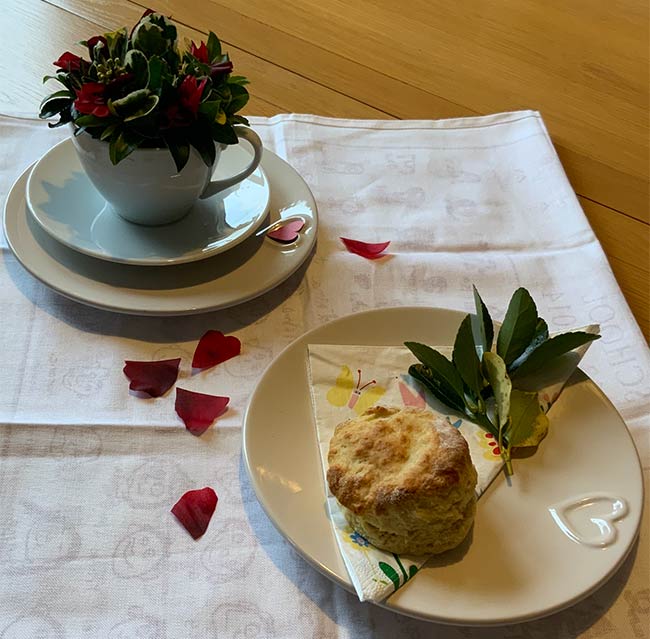 Valentine Cup - A February arrangement made by Joyce Bowett, Club President photo 3