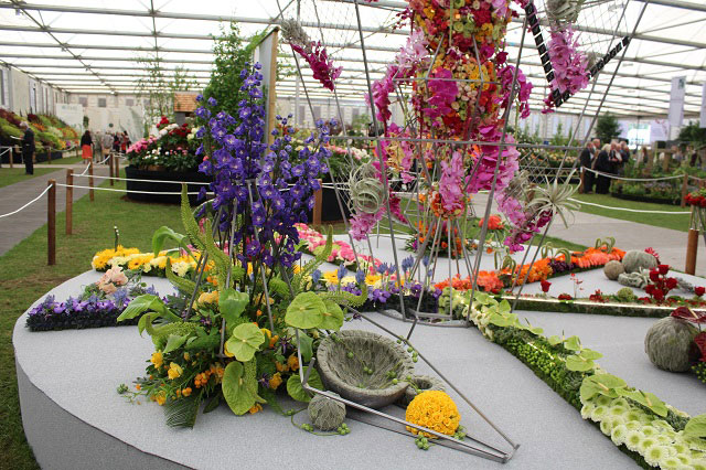 Cheshire Team Win Silver Gilt at RHS Chelsea - gallery photo taken by Pat Murphy