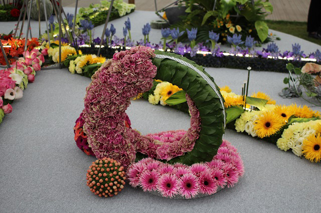 Cheshire Team Win Silver Gilt at RHS Chelsea - gallery photo taken by Pat Murphy