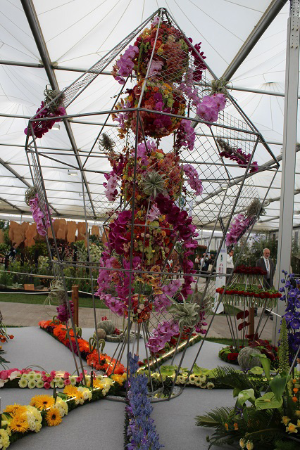 Cheshire Team Win Silver Gilt at RHS Chelsea - gallery photo taken by Pat Murphy