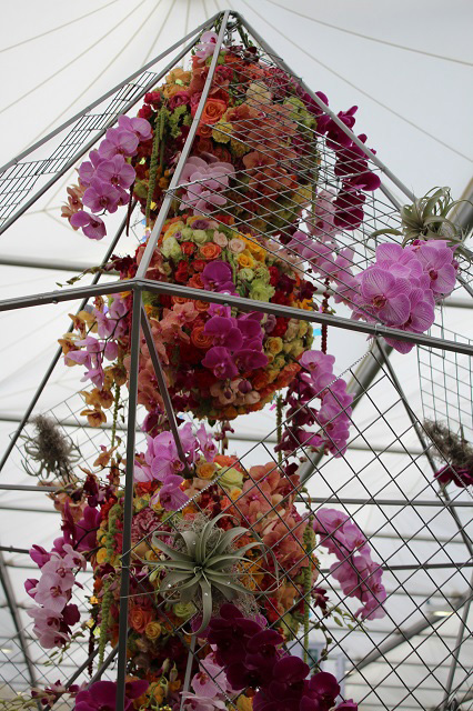 Cheshire Team Win Silver Gilt at RHS Chelsea - gallery photo taken by Pat Murphy