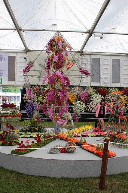 Cheshire Team Win Silver Gilt at RHS Chelsea - gallery photo taken by Pat Murphy