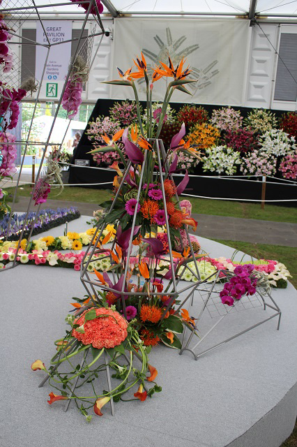 Cheshire Team Win Silver Gilt at RHS Chelsea - gallery photo taken by Pat Murphy