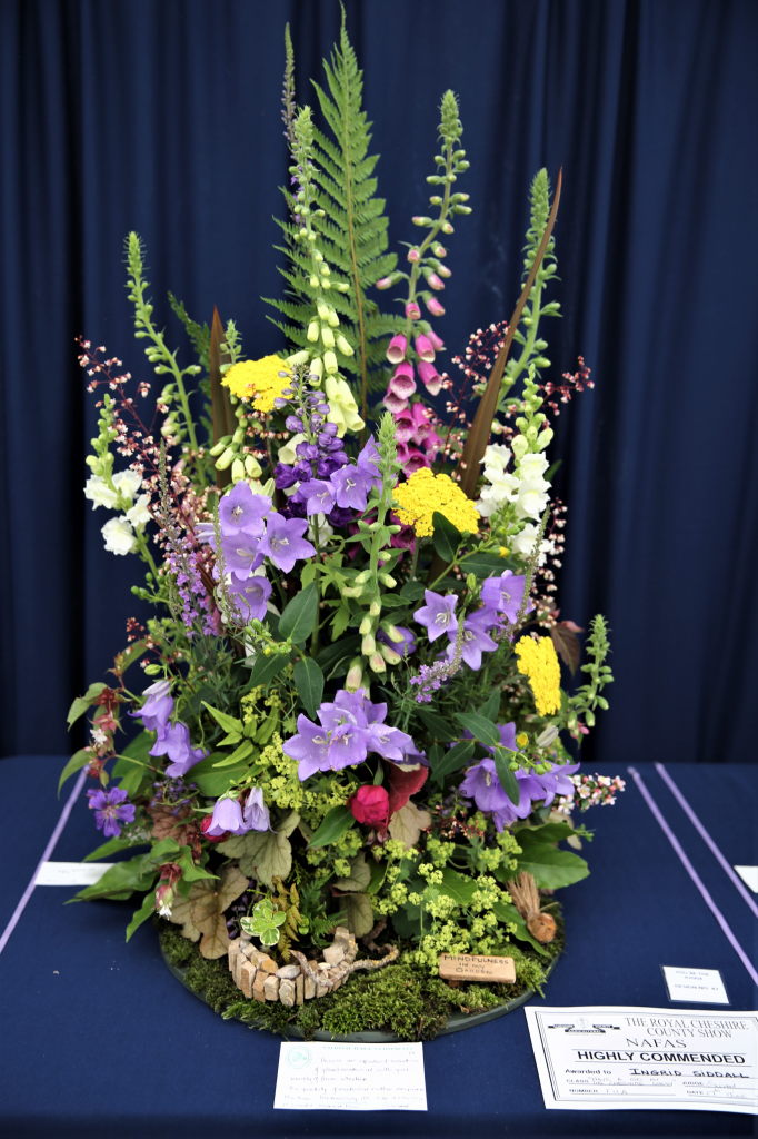 Entrants arrangement