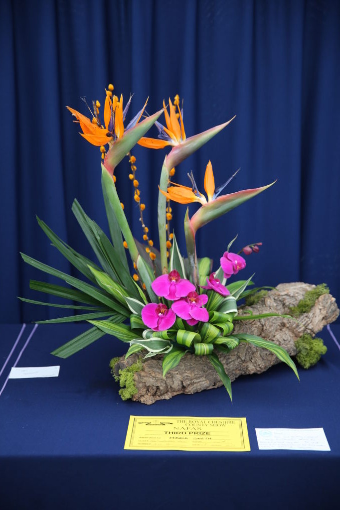 Entrants arrangement