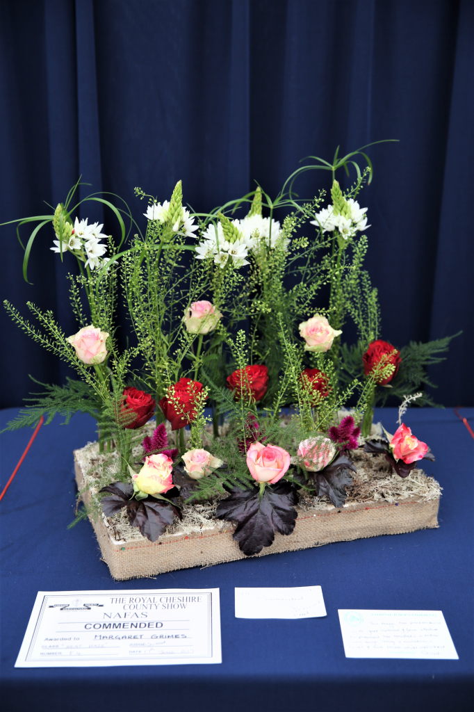 Entrants arrangement