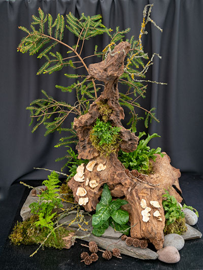 Sylvia Bower's Bronze Award Winning flower arrangement in the Landscape class of the Royal Cheshire County 'Virtual' Show 2021