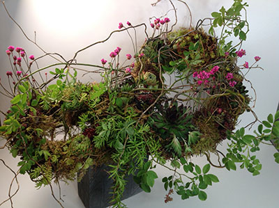 Julie Pearson's flower arrangement in the Wild Thing class of the Royal Cheshire County 'Virtual' Show 2021