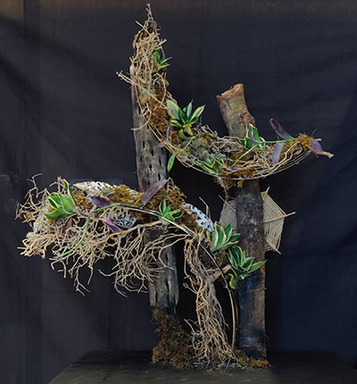Mita Kanoria's flower arrangement in the Wild Thing class of the Royal Cheshire County 'Virtual' Show 2021