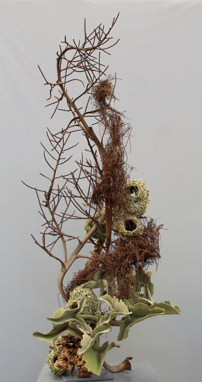 Pritesh Shah's Gold Award Winning flower arrangement in the Wild Thing class of the Royal Cheshire County 'Virtual' Show 2021