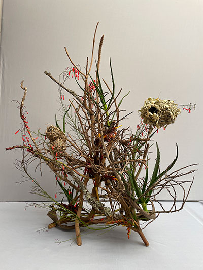 Shobha Thakra's flower arrangement in the Wild Thing class of the Royal Cheshire County 'Virtual' Show 2021