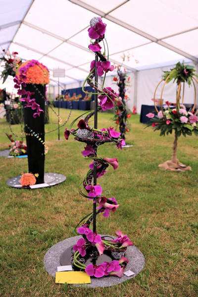 A photo of an entry in the  Material World Class at the 2022 Cheshire Area Show at the Royal Cheshire County Show 