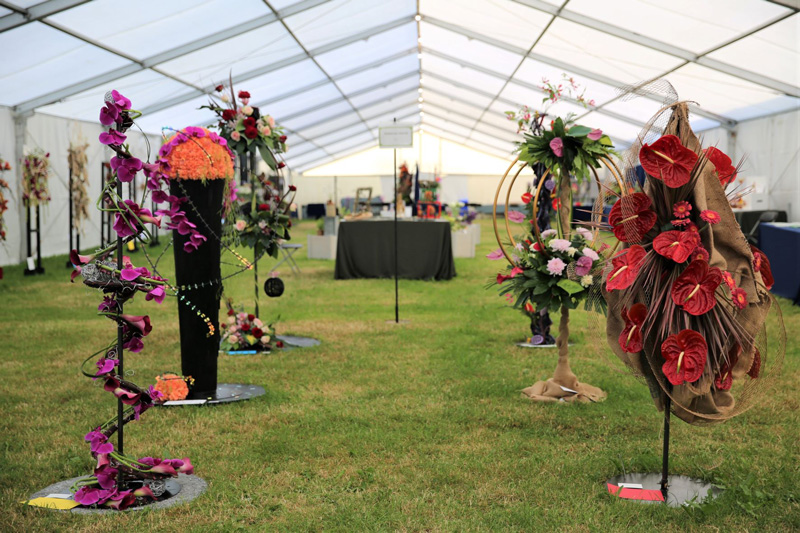 A photo of an entry in the  Material World Class at the 2022 Cheshire Area Show at the Royal Cheshire County Show 