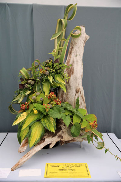 A photo of an entry in the Verdigris Class at the 2022 Cheshire Area Show at the Royal Cheshire County Show
