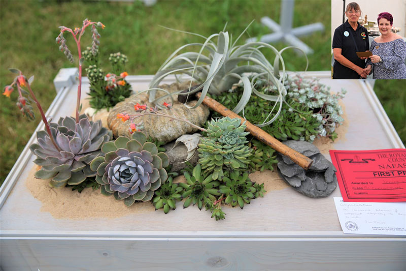 A photo of an entry in the Concoction Class at the 2022 Cheshire Area Show at the Royal Cheshire County Show