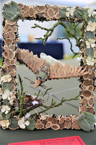 A photo of an entry in the 3D Class at the 2022 Cheshire Area Show at the Royal Cheshire County Show