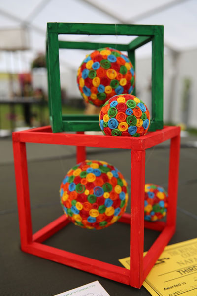 A photo of an entry in the 3D Class at the 2022 Cheshire Area Show at the Royal Cheshire County Show