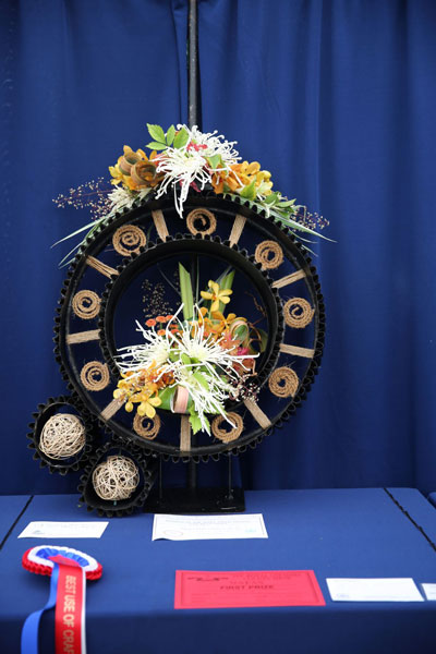 A photo of an entry in the  Invention Class at the 2022 Cheshire Area Show at the Royal Cheshire County Show 