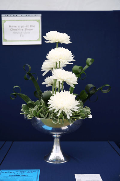 A photo of an entry in  the Have a Go at the Cheshire Show Class at the 2022 Cheshire Area Show at the Royal Cheshire County Show 