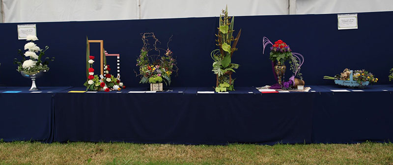 A photo of the exhibition  of the Have a Go at the Cheshire Show Class at the 2022 Cheshire Area Show at the Royal Cheshire County Show 