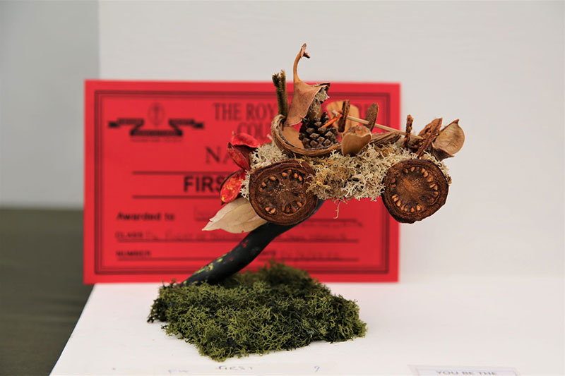 A photo of an entry in the Flight of Fantasy Class at the 2022 Cheshire Area Show at the Royal Cheshire County Show 