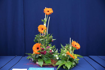 A photo of an entry in the Fabrication Class at the 2022 Cheshire Area Show at the Royal Cheshire County Show