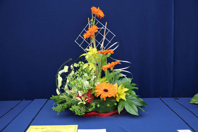 A photo of an entry in the Fabrication Class at the 2022 Cheshire Area Show at the Royal Cheshire County Show