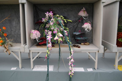 A photo of an entry in the Hidden Depths Class at the 2022 Cheshire Area Show at the Royal Cheshire County Show
