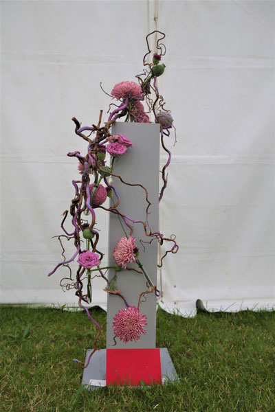A photo of an entry in the Illusion Class at the 2022 Cheshire Area Show at the Royal Cheshire County Show