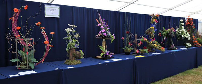 A photo of the It'll Come in Handy Class at the 2022 Cheshire Area Show at the Royal Cheshire County Show