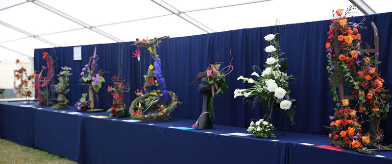 A photo of the It'll Come in Handy Class at the 2022 Cheshire Area Show at the Royal Cheshire County Show