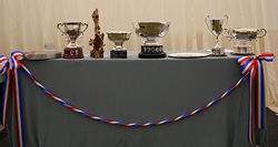 Trophies and Special Awards on presentation table