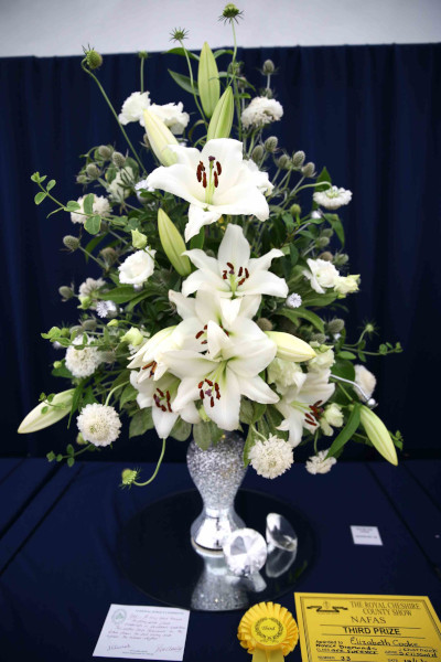 An entry in Diamonds are Forever class at the 2023 Royal Cheshire Show, incorporating the Cheshire Area Show in the Theatre of Flowers