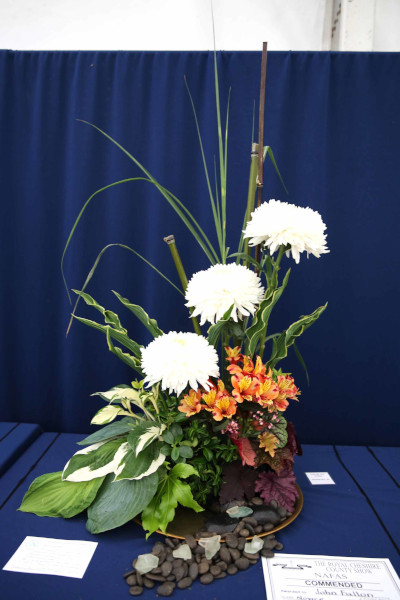 An entry in Diamonds are Forever class at the 2023 Royal Cheshire Show, incorporating the Cheshire Area Show in the Theatre of Flowers
