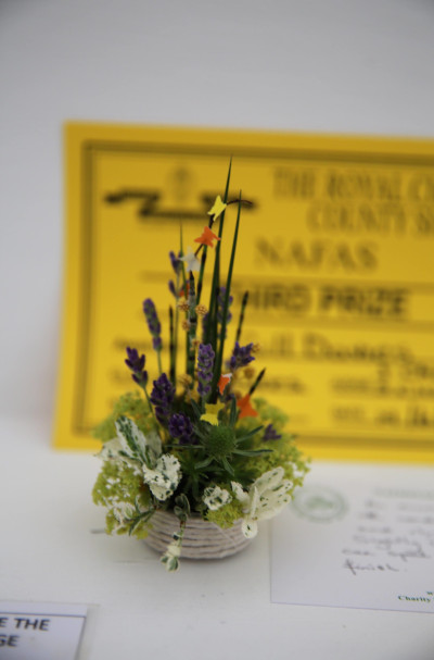 An entry in Bees and Butterflies class at the 2023 Royal Cheshire Show, incorporating the Cheshire Area Show in the Theatre of Flowers