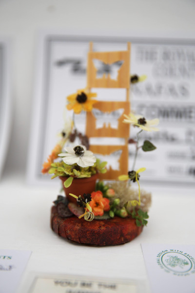 An entry in Bees and Butterflies class at the 2023 Royal Cheshire Show, incorporating the Cheshire Area Show in the Theatre of Flowers
