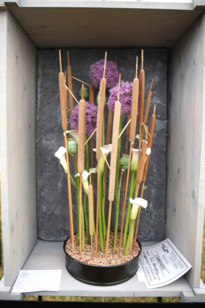 An entry in the Caged In class at the 2023 Royal Cheshire Show, incorporating the Cheshire Area Show in the Theatre of Flowers