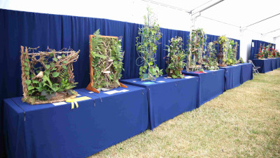 Entries in Entwined class at the 2023 Royal Cheshire Show, incorporating the Cheshire Area Show in the Theatre of Flowers