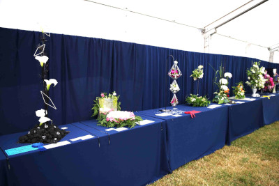Entries in Diamonds are Forever class at the 2023 Royal Cheshire Show, incorporating the Cheshire Area Show in the Theatre of Flowers